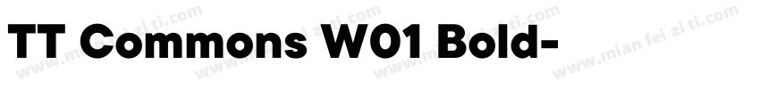 TT Commons W01 Bold字体转换